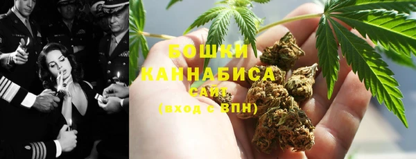 гашик Верея