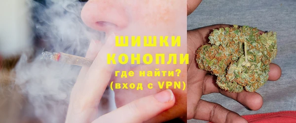 гашик Верея