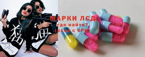 гашик Верея