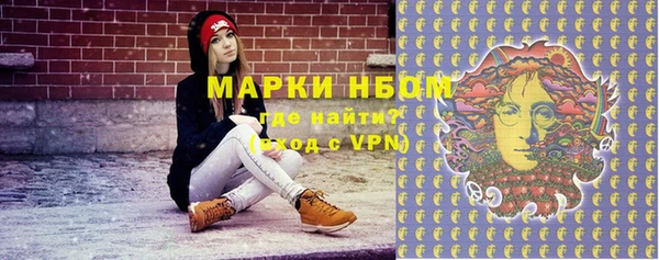 гашик Верея