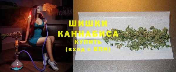 гашик Верея