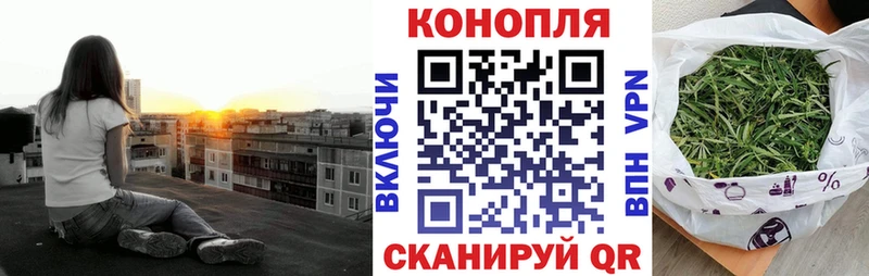 купить наркоту  Гурьевск  Конопля план 